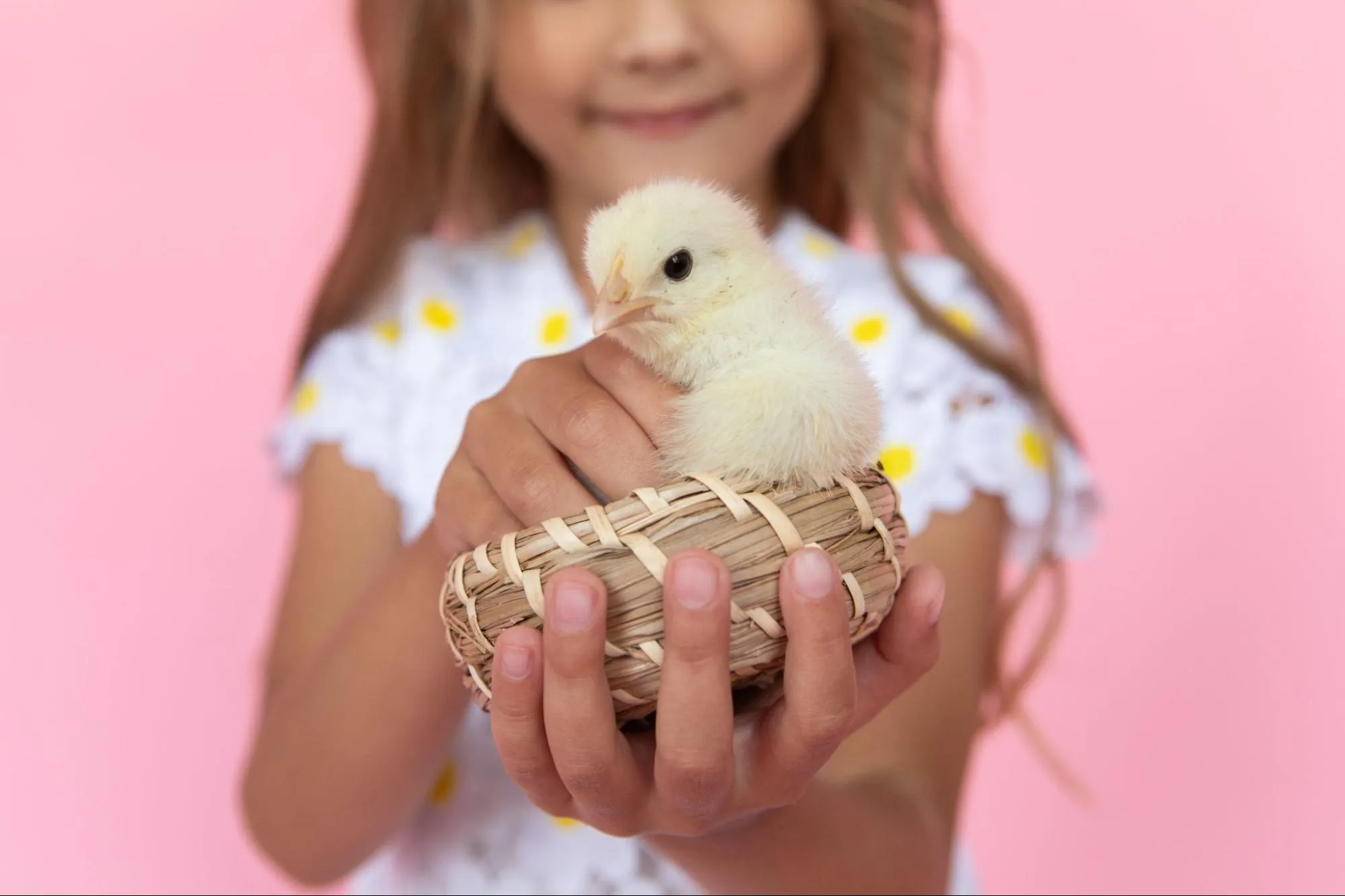What animals come from eggs for kids to learn from?