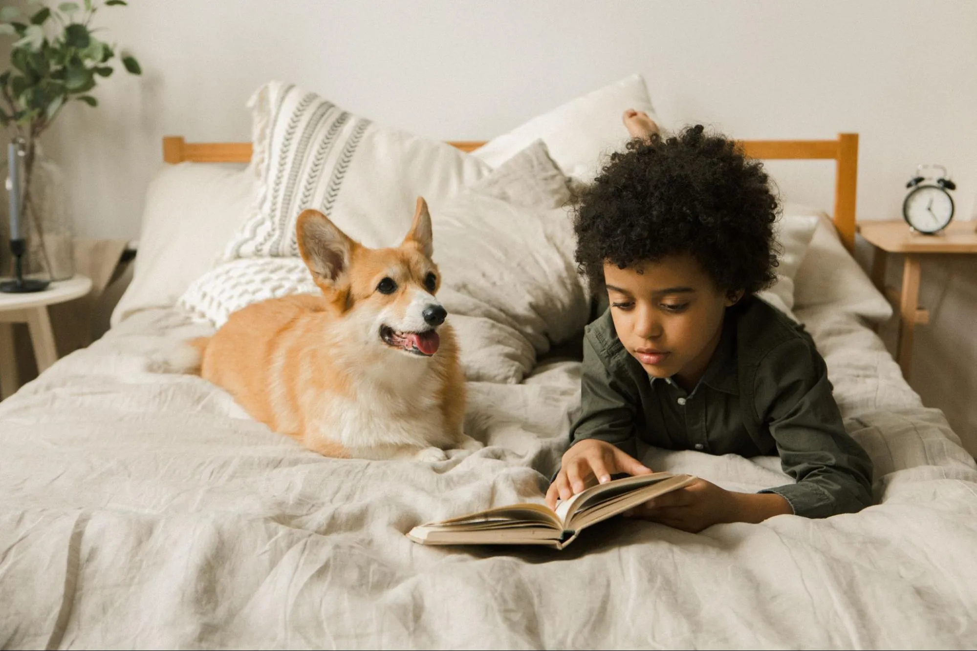 What Are the Best Animal Books for Middle Schoolers?